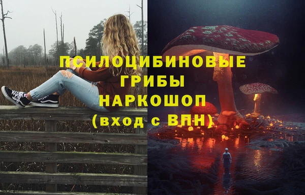 синтетический гашиш Алексин