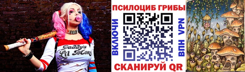 где продают   Алупка  Галлюциногенные грибы Psilocybe 